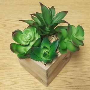 Faux Succulent Assortment